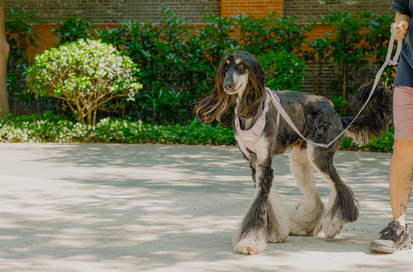 PADDED ACTIVE PET LEASH - MINT PURPLE