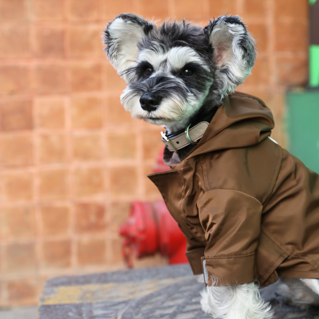 Tribeca adjustable velcro raincoat - Choco