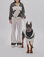 Andersen Calfskin Shoulder Bag & Leash & Collar