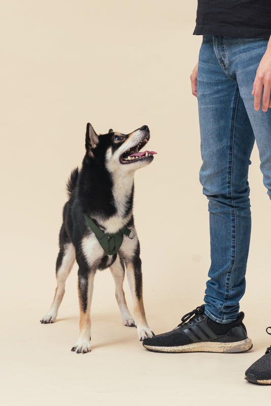 HART PRESSURE RELEASE HARNESS - GREEN