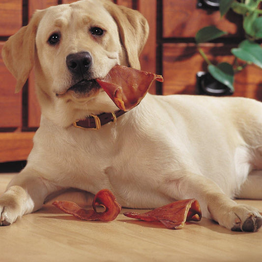 USA Pig Ears by EcoKind Dog Treats and Chews Thick-Cut, All Natural Dog Treats 10.00% Off Auto renew
