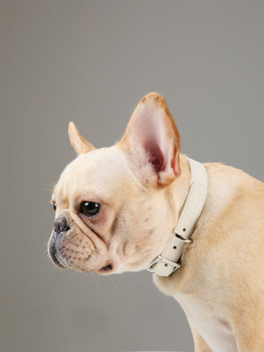 Andersen Calfskin Pet Collar