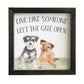 Gate Open Dogs