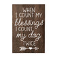 My Dog